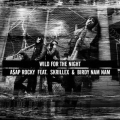 Wild For The Night - Asap Rocky & Skrillex & Birdy Nam Nam