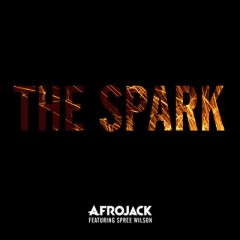 The Spark - Afrojack feat. Spree Wilson