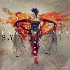 Imperfection - Evanescence