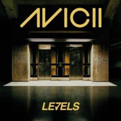 Levels - Avicii