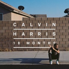 Drinking From The Bottle - Calvin Harris feat. Tinie Tempah