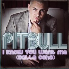 I Know You Want Me (Calle Ocho) - Pitbull