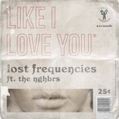 Like I Love You - Lost Frequencies feat. NGHBRS