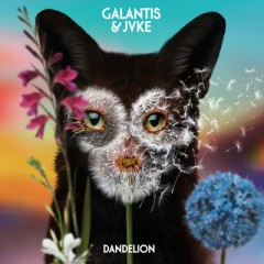 Dandelion - Galantis feat. JVKE