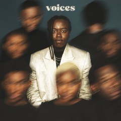 Voices - Tusse