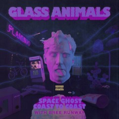 Space Ghost Coast To Coast - Glass Animals feat. Bree Runway