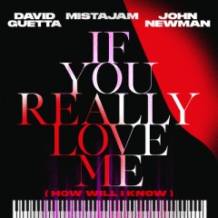 If You Really Love Me (How Will I Know) - David Guetta, MistaJam & John Newman