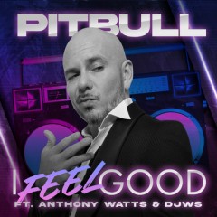 I Feel Good - Pitbull feat. Anthony Watts & DJWS
