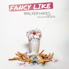 Fancy Like - Walker Hayes