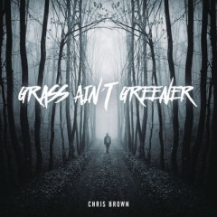 Grass Ain't Greener - Chris Brown