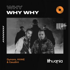 Why Why Why - Dynoro, HVME & Gaudini