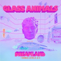 I Don't Wanna Talk (I Just Wanna Dance) - Glass Animals