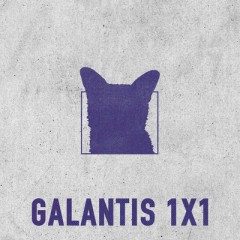1 X 1 - Galantis