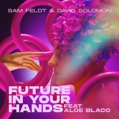 Future In Your Hands - Sam Feldt & David Solomon feat. Aloe Blacc