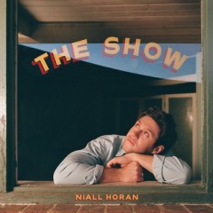 Meltdown - Niall Horan