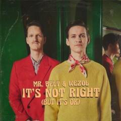 It's Not Right (But It's Ok) - Mr Belt feat. Wezol