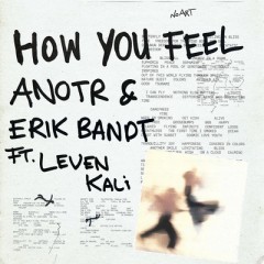 How You Feel - ANOTR & Erik Bandt feat. Levan Kali