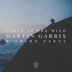Lions In The Wild - Martin Garrix & Third Party
