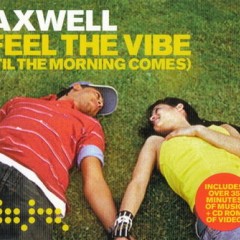 Feel The Vibe - Axwell