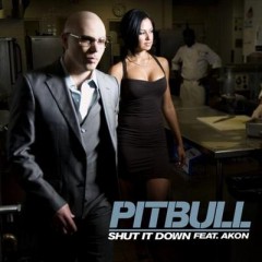 Shut It Down - Pitbull feat. Akon