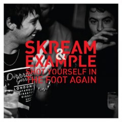 Shot Yourself In The Foot Again - Example & Skream