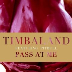 Pass At Me - Timbaland & David Guetta & Pitbull