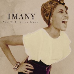 You Will Never Know - Imany