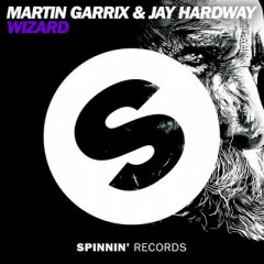 Wizard - Martin Garrix & Jay Hardway