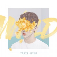 Wild - Troye Sivan