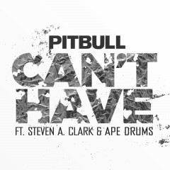 Can't Have - Pitbull feat. Steven A. Clark & Ape Drums