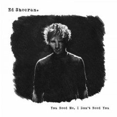 You Need Me, I Don't Need You - Ed Sheeran